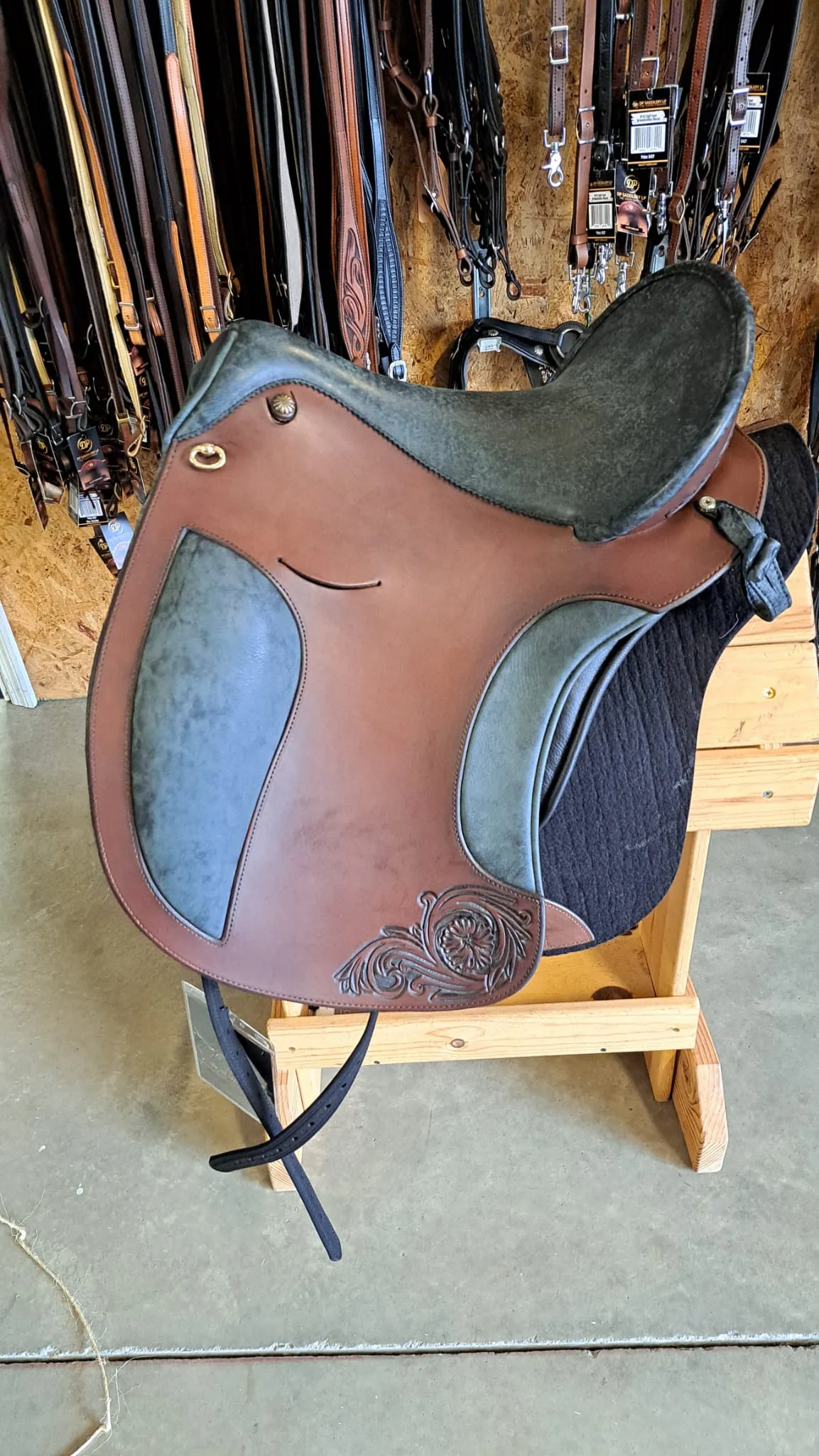 DP Saddlery El Campo Shorty 7566