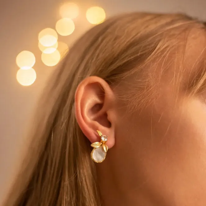 Shell Stud Earrings