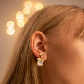 Shell Stud Earrings